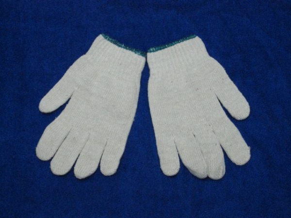 SKH DailyWear-Green Trim Gloves
